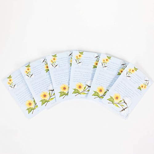 White Cotton WILLOWBROOK Fresh Scents Scented Sachets 